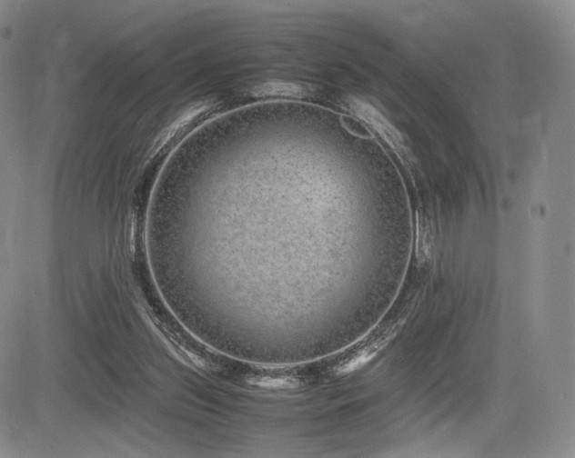 X0000085070157200703051416