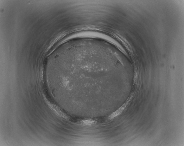 X0000085070158200703051416