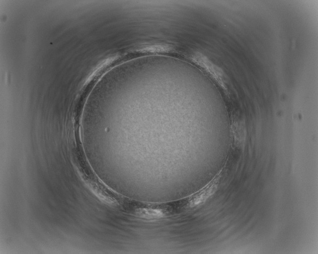 X0000085070159200703051416