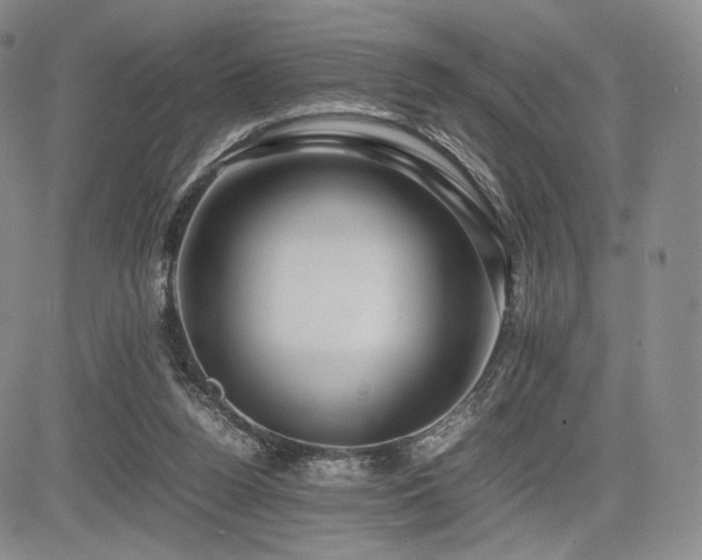 X0000085070160200703051416