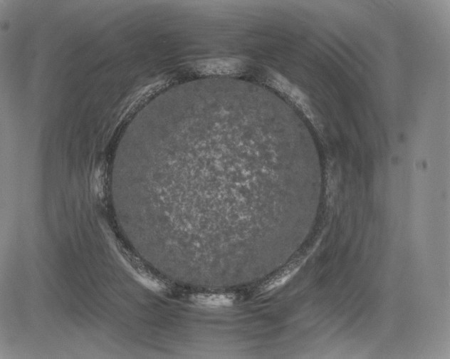 X0000085070161200703051416