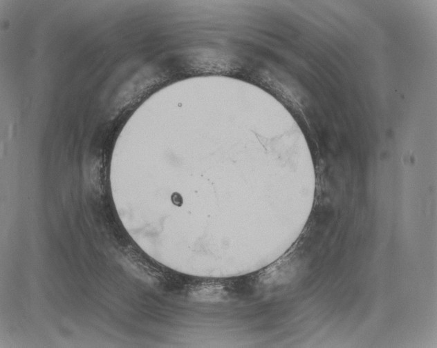 X0000085070162200703051416