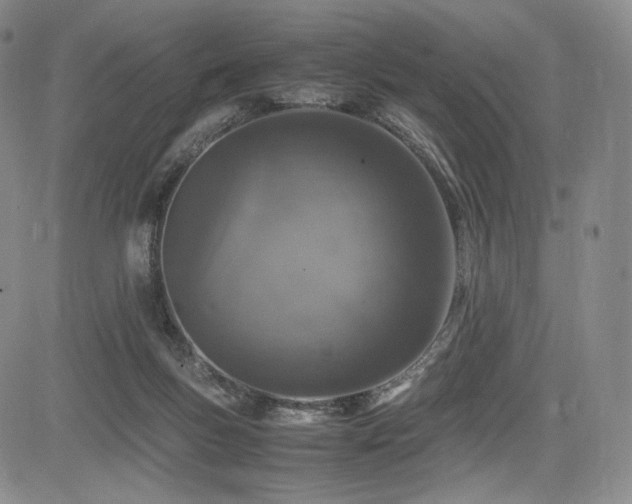 X0000085070167200703051417