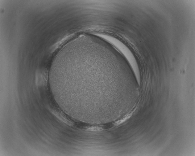 X0000085070168200703051417