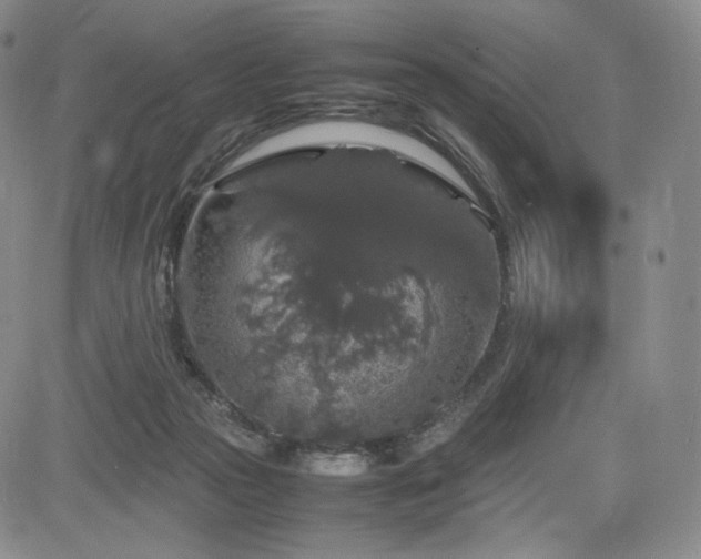 X0000085070169200703051417