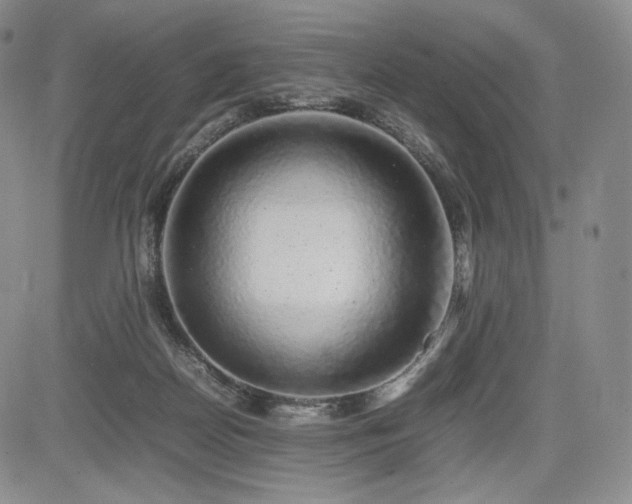 X0000085070170200703051417