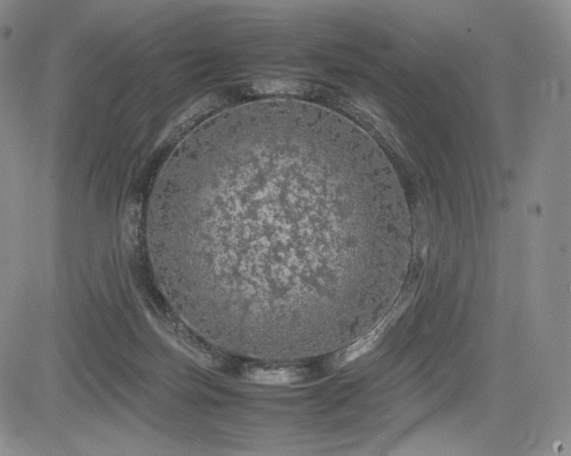 X0000085070171200703051417