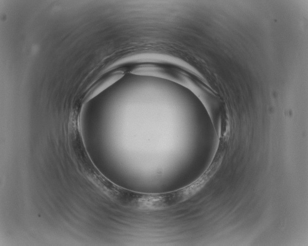 X0000085070172200703051417