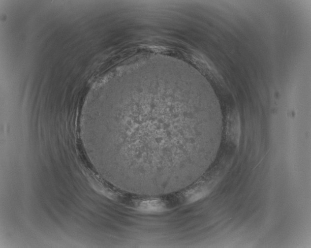 X0000085070173200703051417