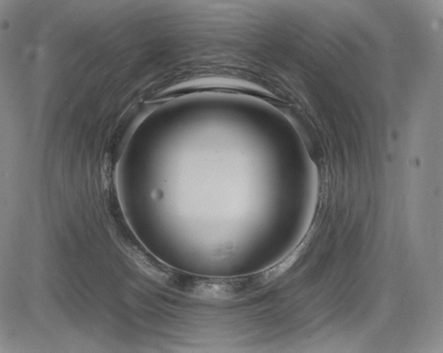 X0000085070174200703051417