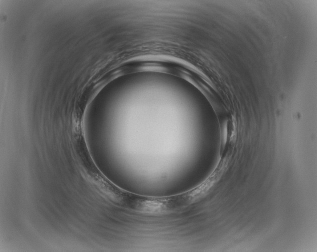 X0000085070176200703051417