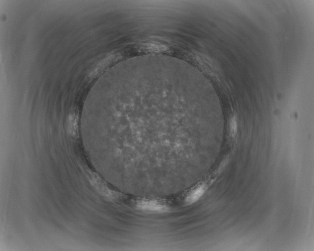 X0000085070177200703051417