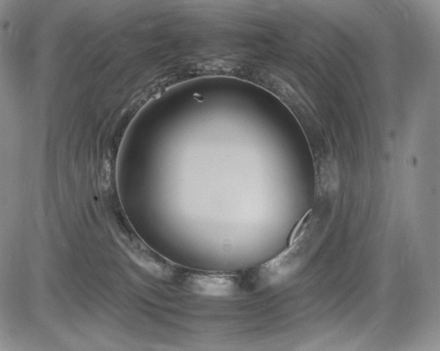 X0000085070183200703051417