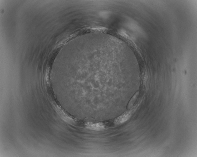 X0000085070185200703051417