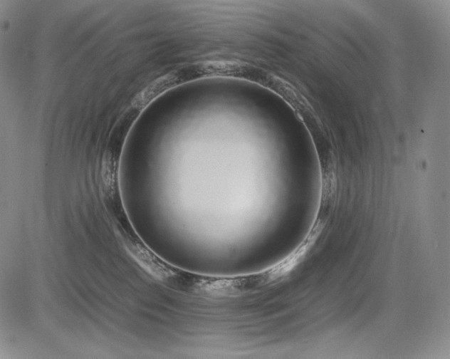 X0000085070186200703051417