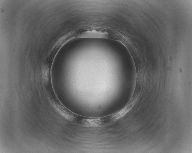 X0000085070188200703051417