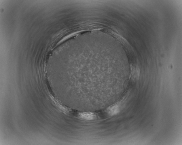 X0000085070189200703051417