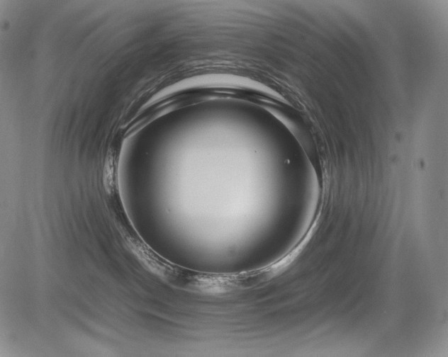 X0000085070190200703051417