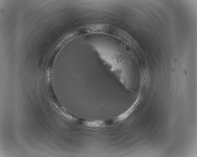 X0000085070191200703051417