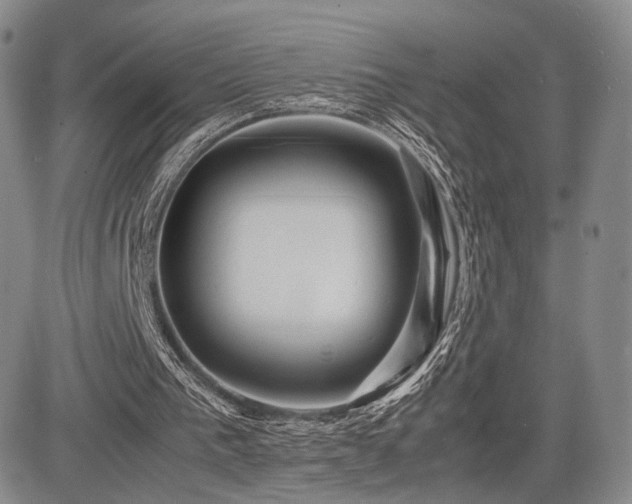 X0000085070193200703051416