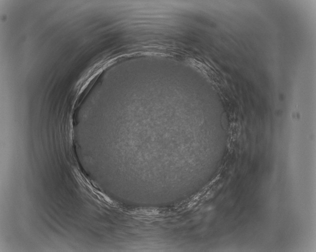 X0000085070194200703051416