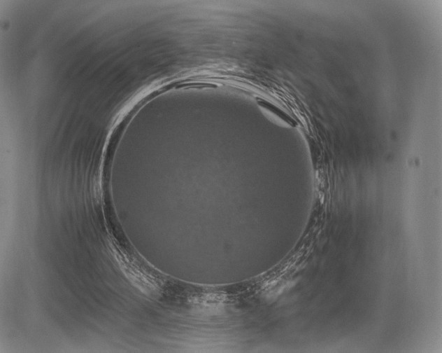 X0000085070196200703051416