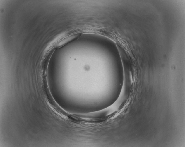 X0000085070197200703051416