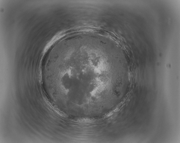 X0000085070198200703051416