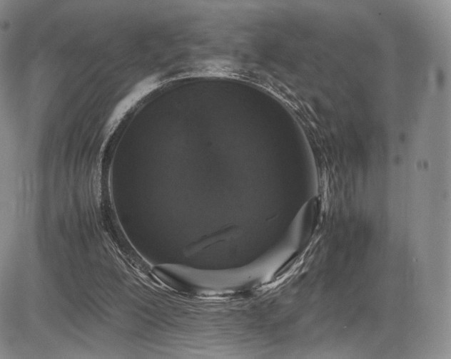 X0000085070200200703051416