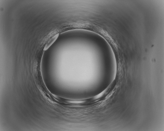 X0000085070201200703051416