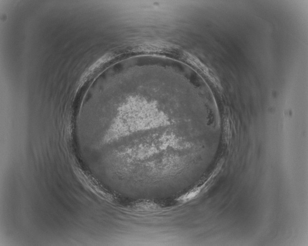 X0000085070203200703051416