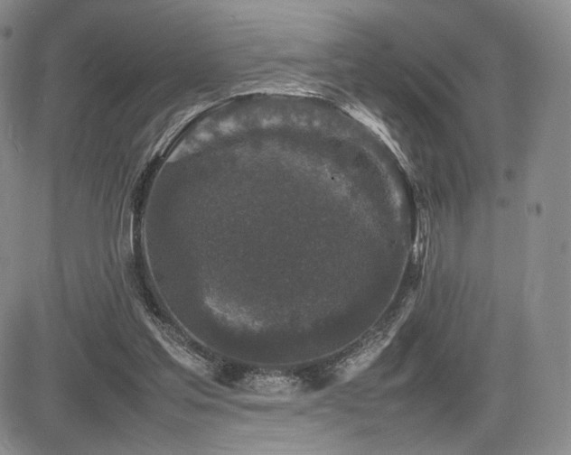 X0000085070205200703051416