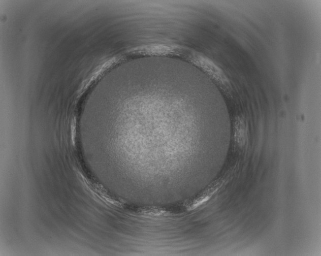 X0000085070206200703051416