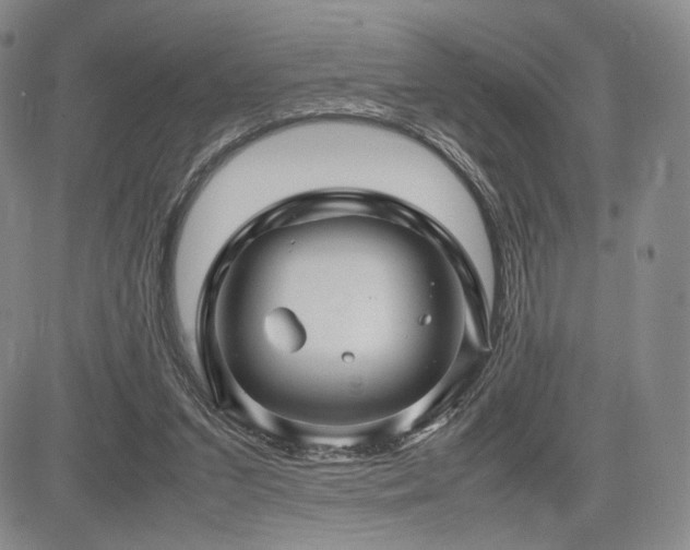 X0000085070207200703051416