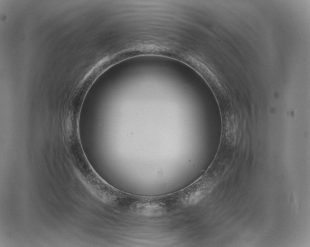 X0000085070208200703051416