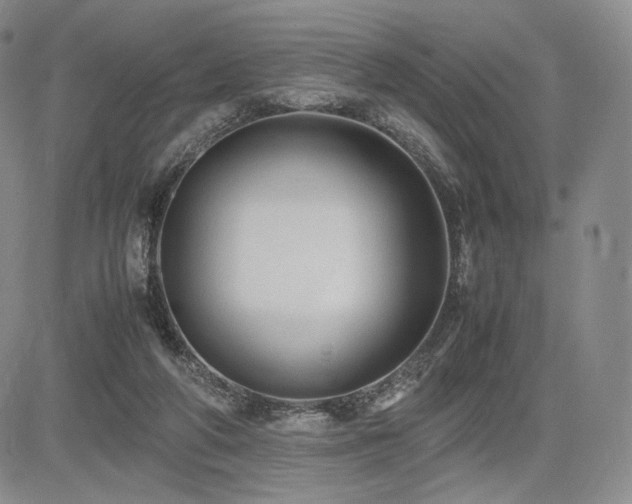 X0000085070210200703051416