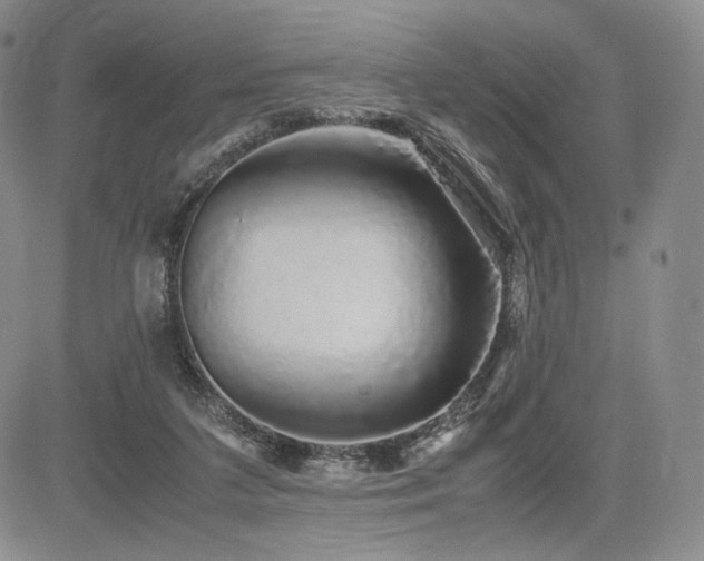 X0000085070211200703051416