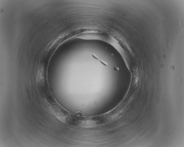 X0000085070212200703051416