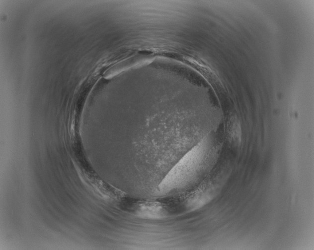 X0000085070214200703051416