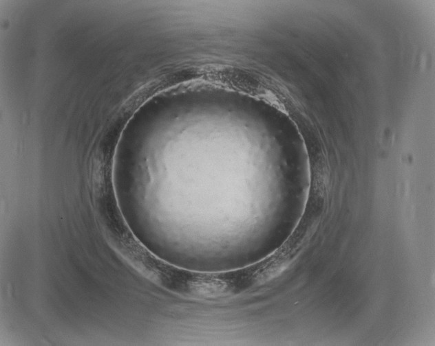 X0000085070215200703051416