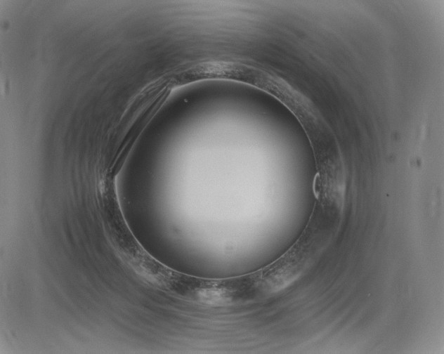 X0000085070216200703051416