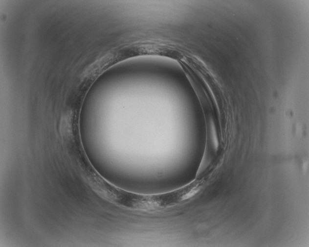 X0000085070217200703051416