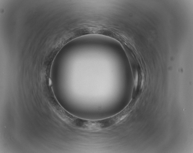 X0000085070221200703051416