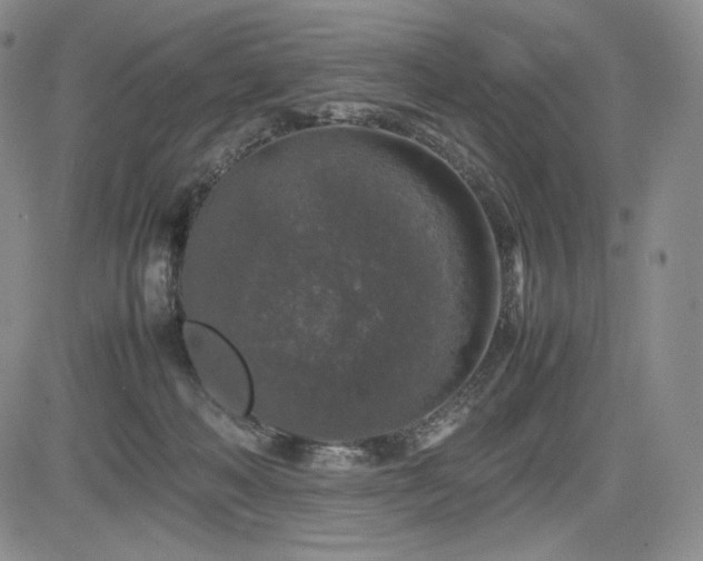 X0000085070222200703051416