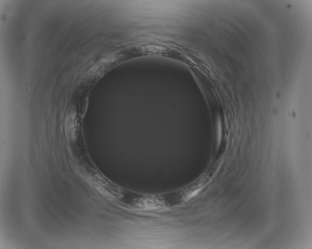 X0000085070223200703051416