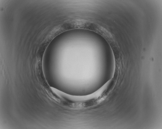 X0000085070225200703051416