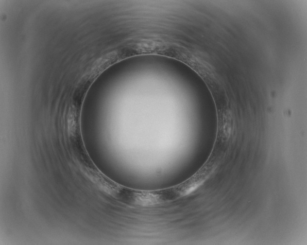 X0000085070226200703051416