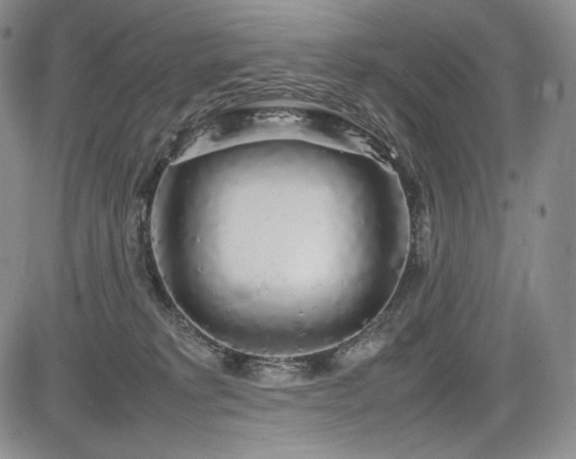 X0000085070229200703051416