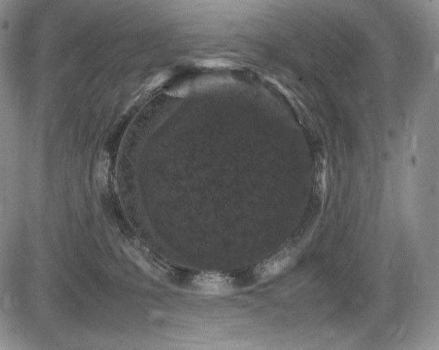 X0000085070231200703051416