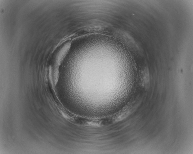 X0000085070232200703051416